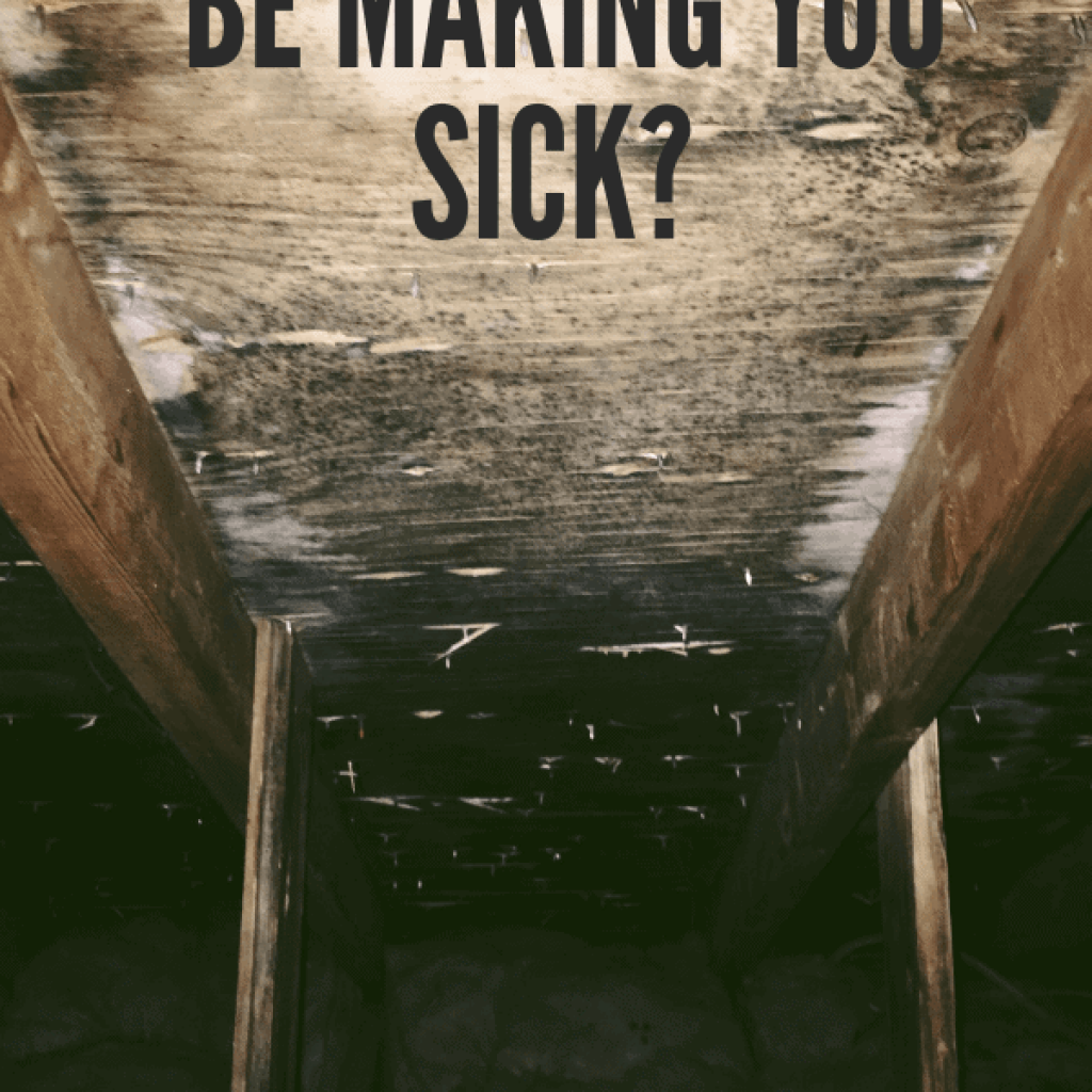 Could your house be making you sick? Mold was lurking in our home, causing strange symptoms, leading us to build a new home.