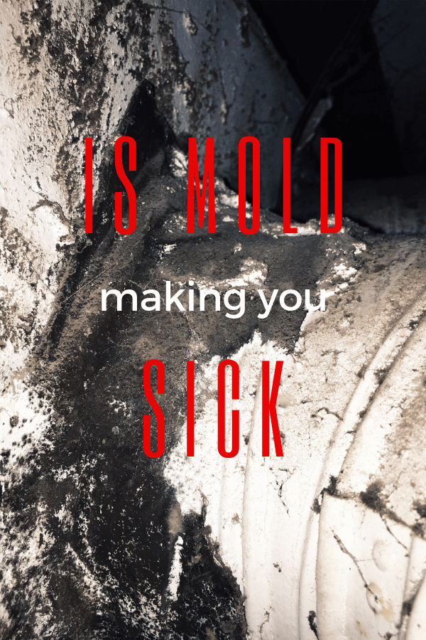 is mold making you sick learn more at Down Leah's Lane