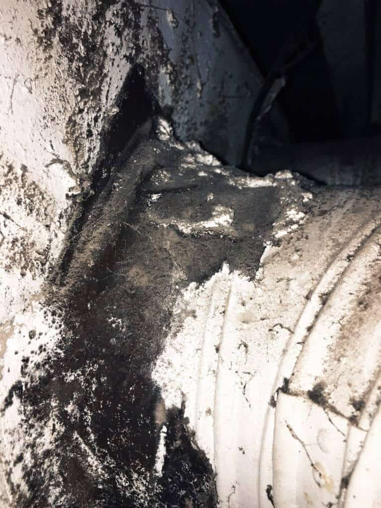 mold growing on outside of our furnace ductwork