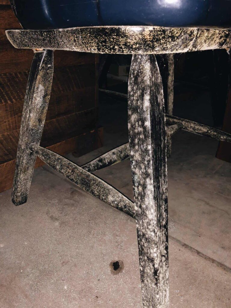 Mold growing on our kitchen chair after we moved out of our house.