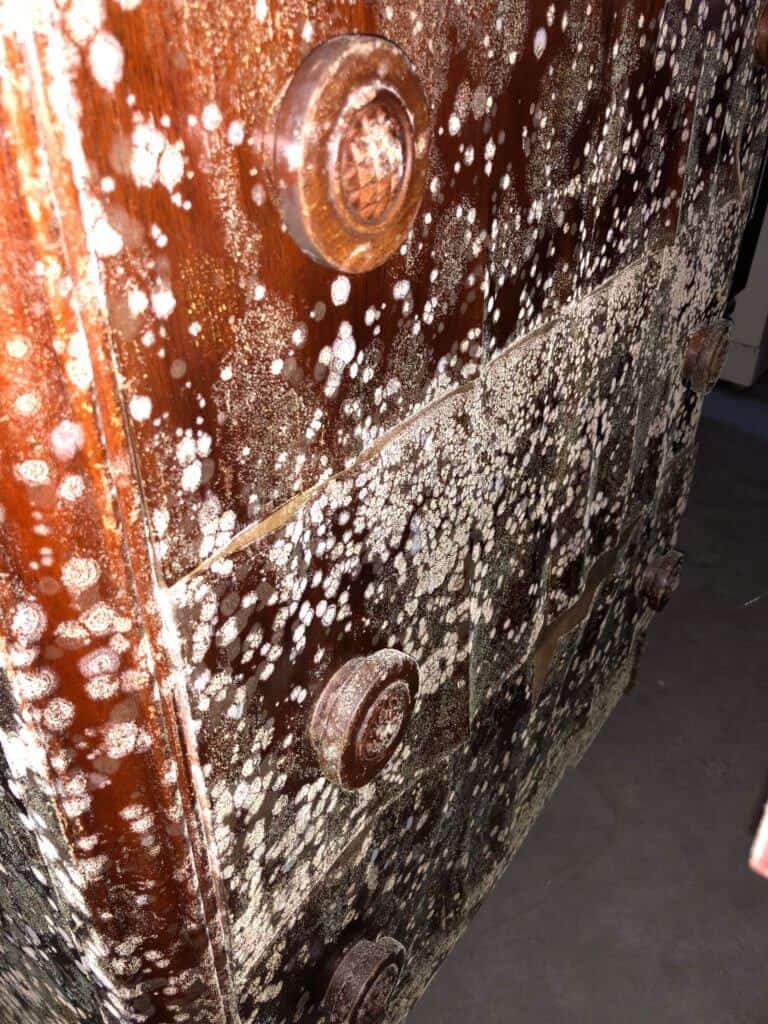 Mold growing on dresser that was in our daughter's room.